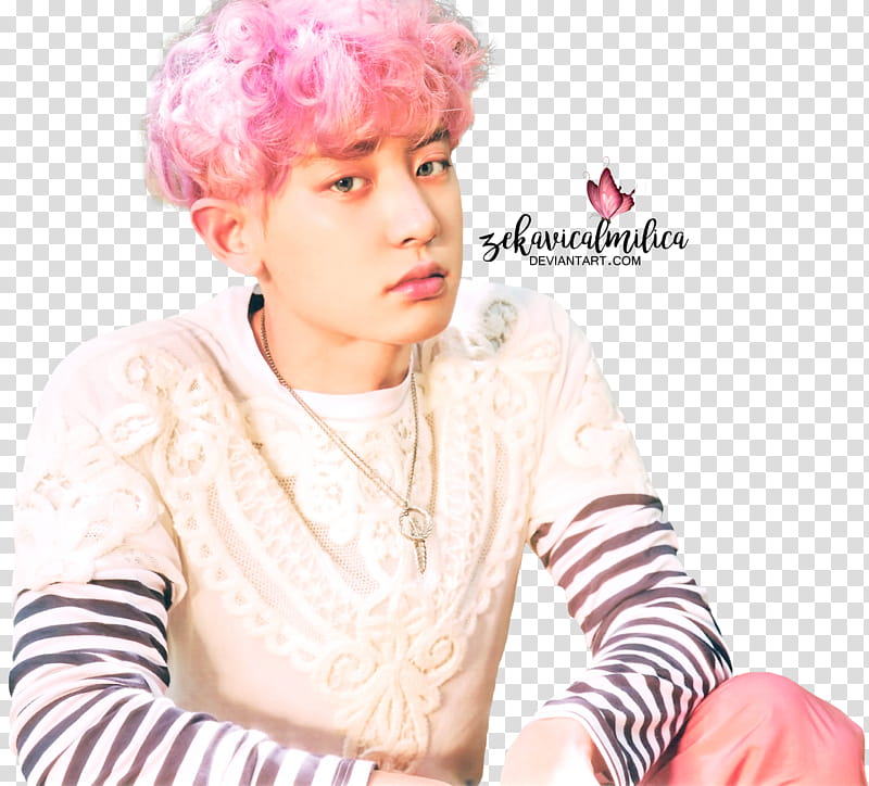 EXO Chanyeol The War transparent background PNG clipart