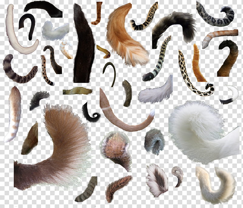 manip Resource Sheet , assorted-color tail lot transparent background PNG clipart