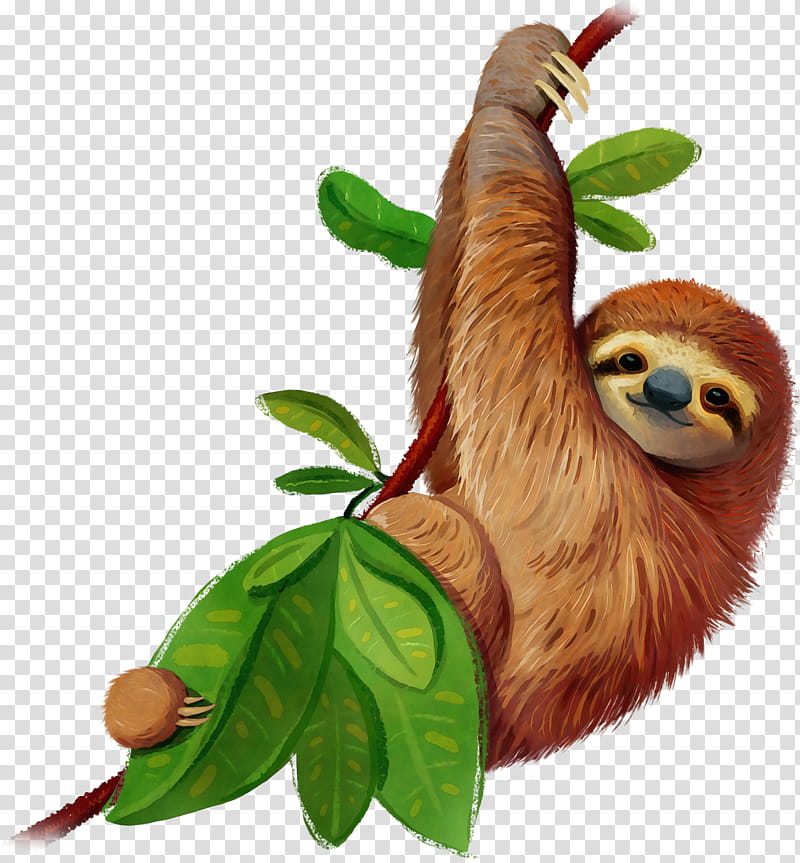 three-toed sloth sloth two-toed sloth leaf tree, Watercolor, Paint, Wet Ink, Threetoed Sloth, Twotoed Sloth, Plant transparent background PNG clipart