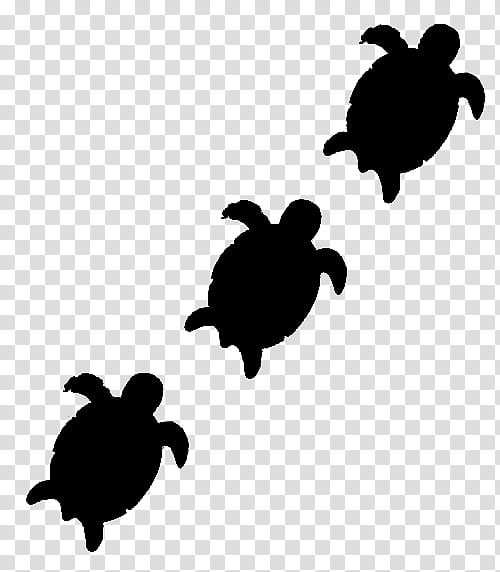 Sea Turtle, Black White M, Tortoise, Silhouette, Reptile, Olive Ridley Sea Turtle, Green Sea Turtle, Loggerhead Sea Turtle transparent background PNG clipart