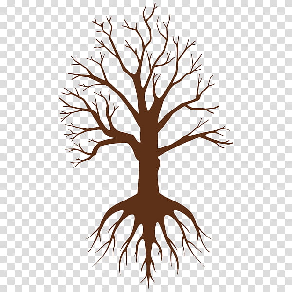 Black And White Flower, Root, Tree, Plants, Japan, Woody Plant, Branch, Leaf transparent background PNG clipart Black And White Flower, Root, Tree, Plants, Japan, Woody Plant, Branch, Leaf transparent background PNG clipart