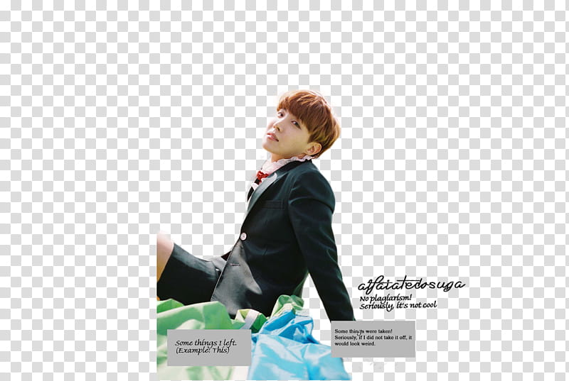 BTS Bangtan Boys Young Forever transparent background PNG clipart