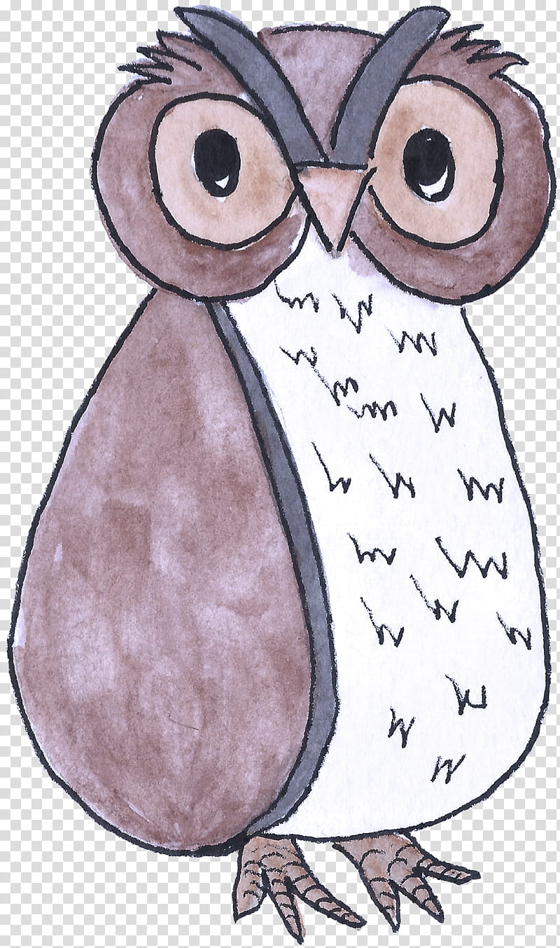 bird owl cartoon eastern screech owl flightless bird, Bird Of Prey transparent background PNG clipart