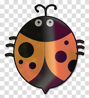 Mariquitas , orange and black ladybug transparent background PNG clipart