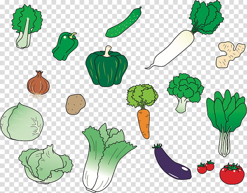 Carrot, Vegetable, Food, Daikon, Aubergines, Greens, Folate, Cabbage transparent background PNG clipart