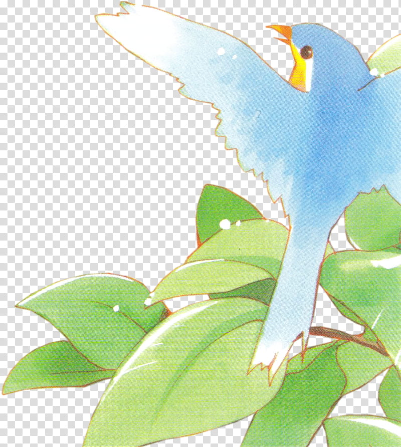 Blue Bird xp, blue bird on green leaves illustration transparent background PNG clipart