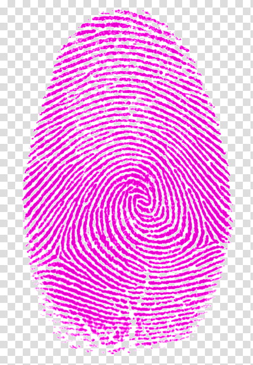 Detective, Fingerprint, Thumb, Fibonacci Number, Little Finger, Forensic Science, Sequence, Ink transparent background PNG clipart