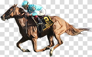 horse animal sports rein horse racing working animal, Watercolor, Paint, Wet Ink, Horse Trainer, Jockey, RODEO transparent background PNG clipart thumbnail