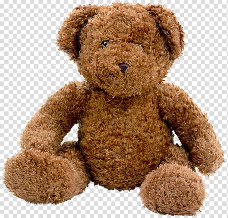 Teddy bear, brown bear plush toy transparent background PNG clipart