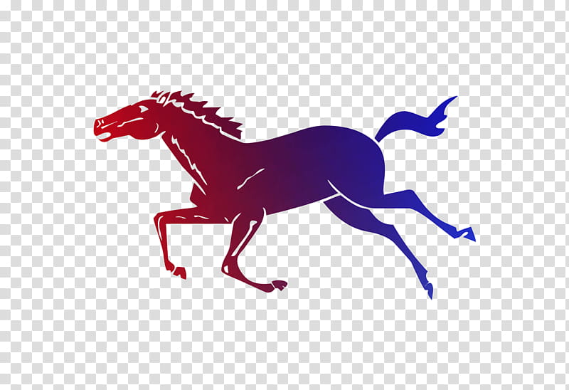 Horse, Mustang, Memory, Stallion, Halter, Cognition, Shortterm Memory, Longterm Memory transparent background PNG clipart