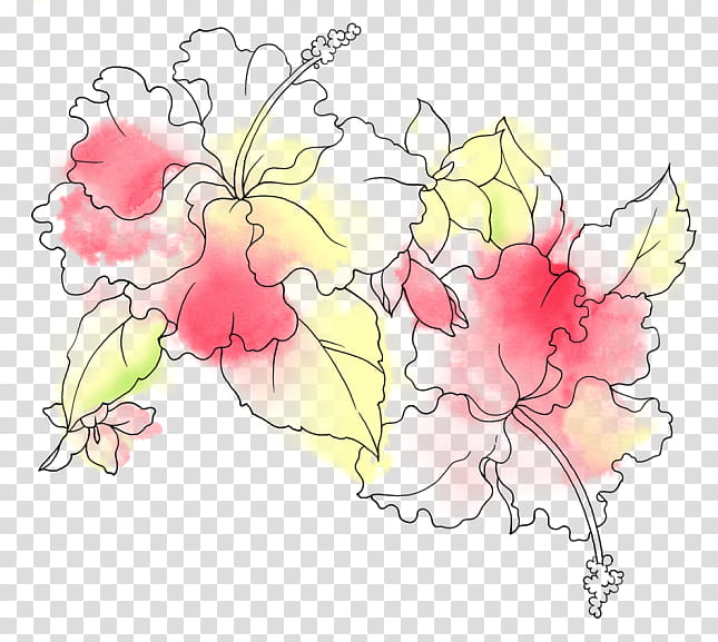 Flores ByunCamis, pink and yellow hibiscus illustration transparent background PNG clipart