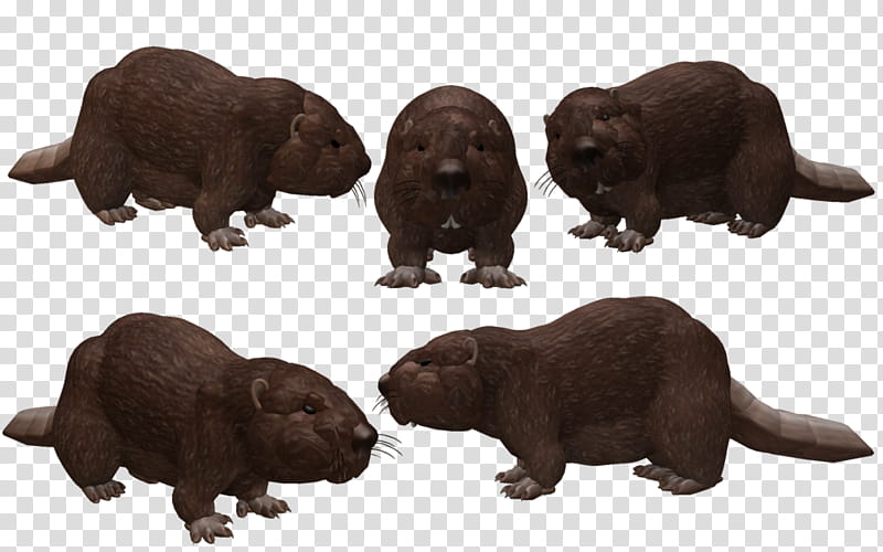 SPORE creature: Eurasian Beaver transparent background PNG clipart