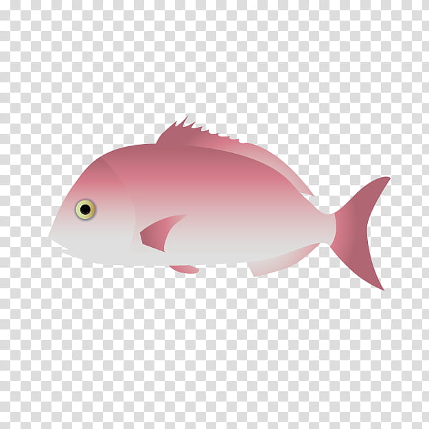 Fish, Copyrightfree, Ad Blocking, Pagrus Major, QUIZ, Pink, Fin, Snapper transparent background PNG clipart