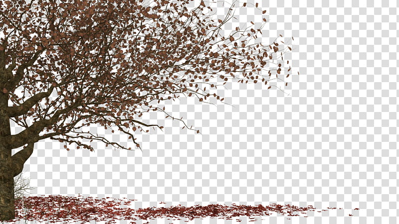 , brown-leafed tree near body of water during daytime transparent background PNG clipart