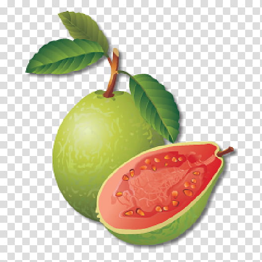 Family Tree, Guava, Fruit, Common Guava, Plant, Food, Leaf, Strawberry Guava transparent background PNG clipart