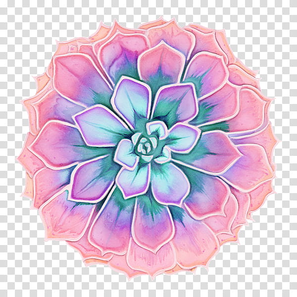 Pink Flower, Cabbage Rose, Floral Design, Cut Flowers, Peony, Dahlia, Petal, Pink M transparent background PNG clipart