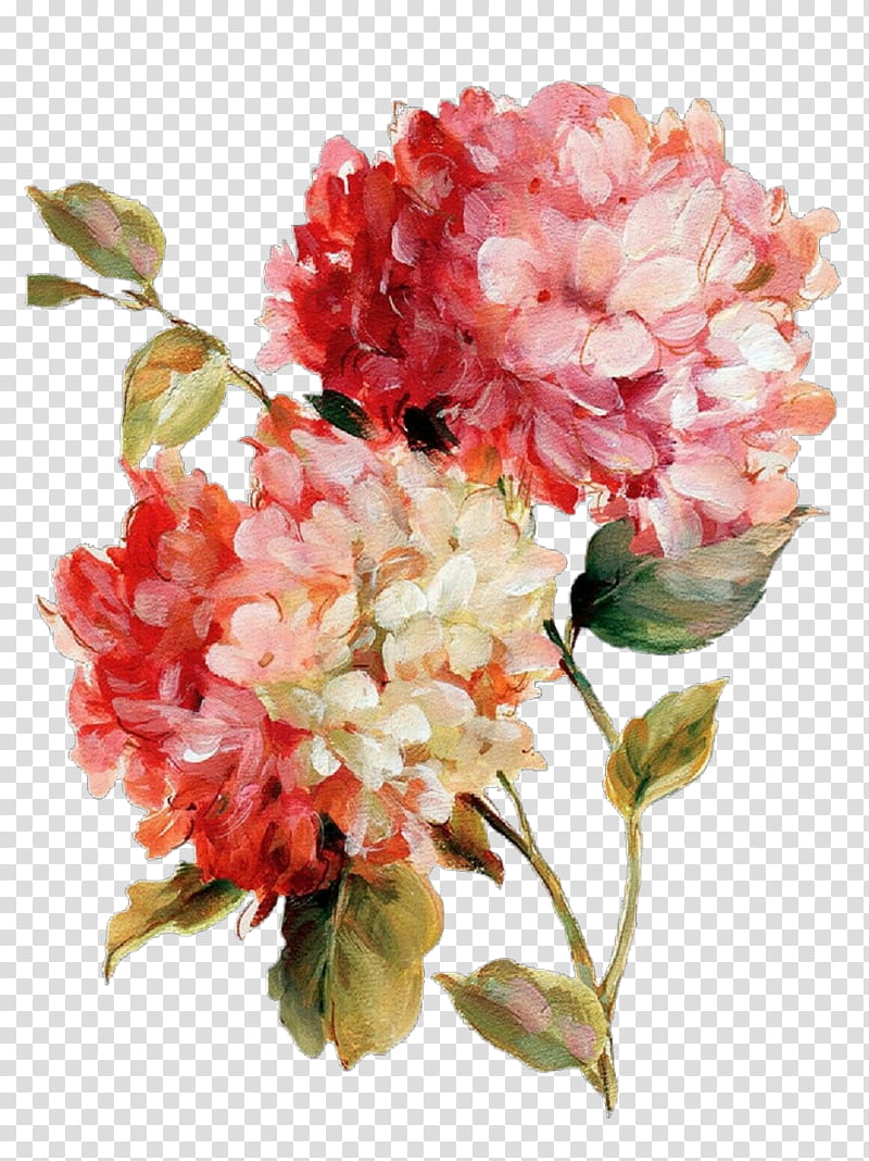 Artificial flower, Plant, Cut Flowers, Petal, Pink, Hydrangea, Peony, Hydrangeaceae transparent background PNG clipart