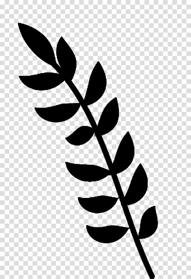 Trees and Twigs Brushes, silhouette of fern plant illustration transparent background PNG clipart