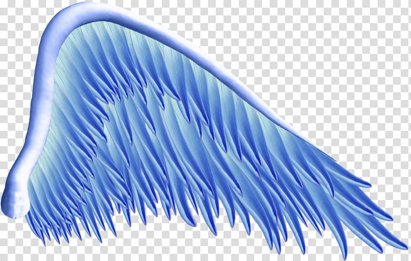 Blue Angel Wing transparent background PNG clipart