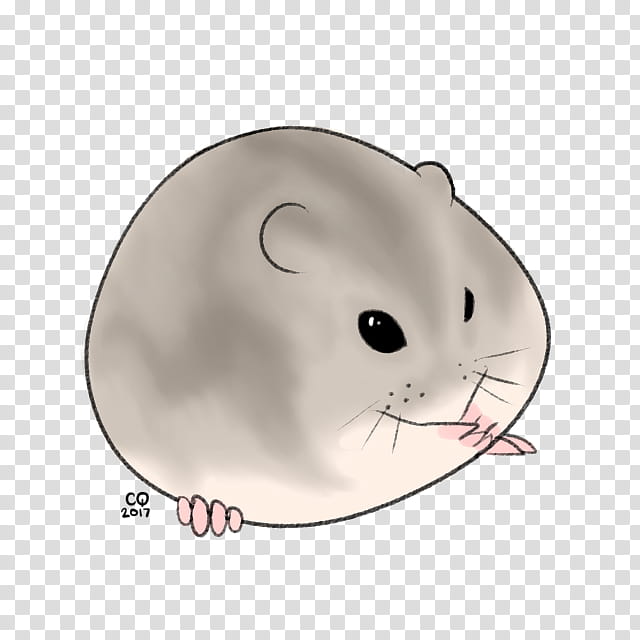 Hamster, Whiskers, Cat, Rat, Computer Mouse, Snout, Muroidea, Chinchilla transparent background PNG clipart