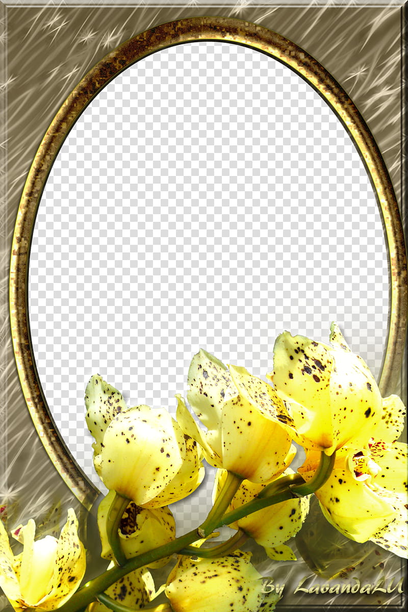 Lav Frames, yellow petal flower frame transparent background PNG clipart