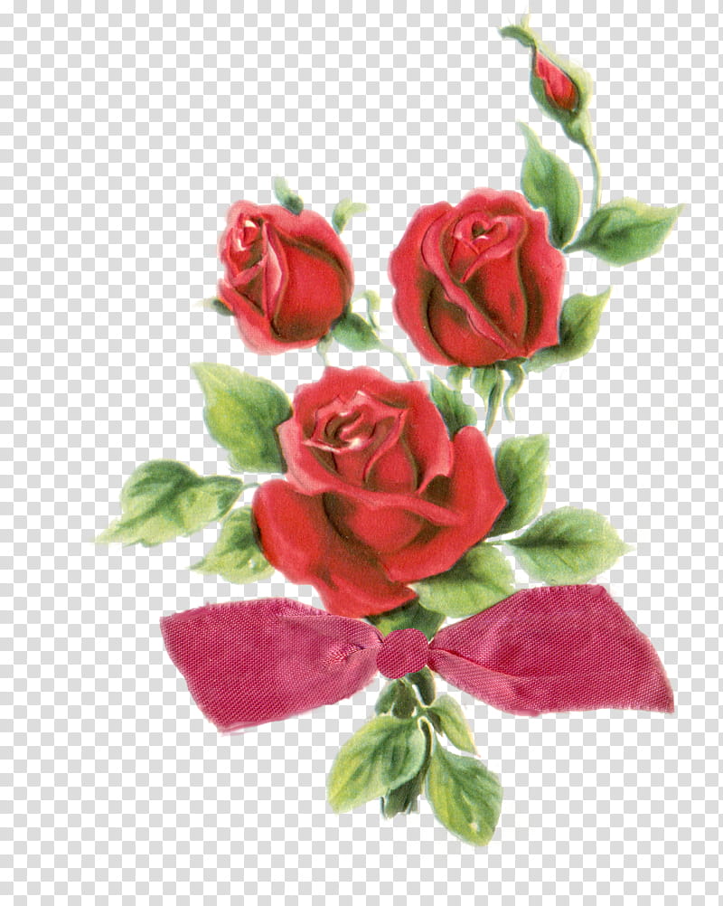 Red Rose, three red roses transparent background PNG clipart