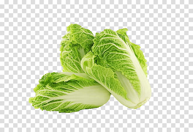 vegetable leaf vegetable romaine lettuce food leaf, Plant, Celtuce, Iceburg Lettuce transparent background PNG clipart