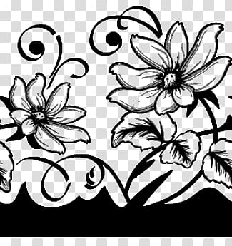 Decorative Borders Brushes, black flower illustration transparent background PNG clipart