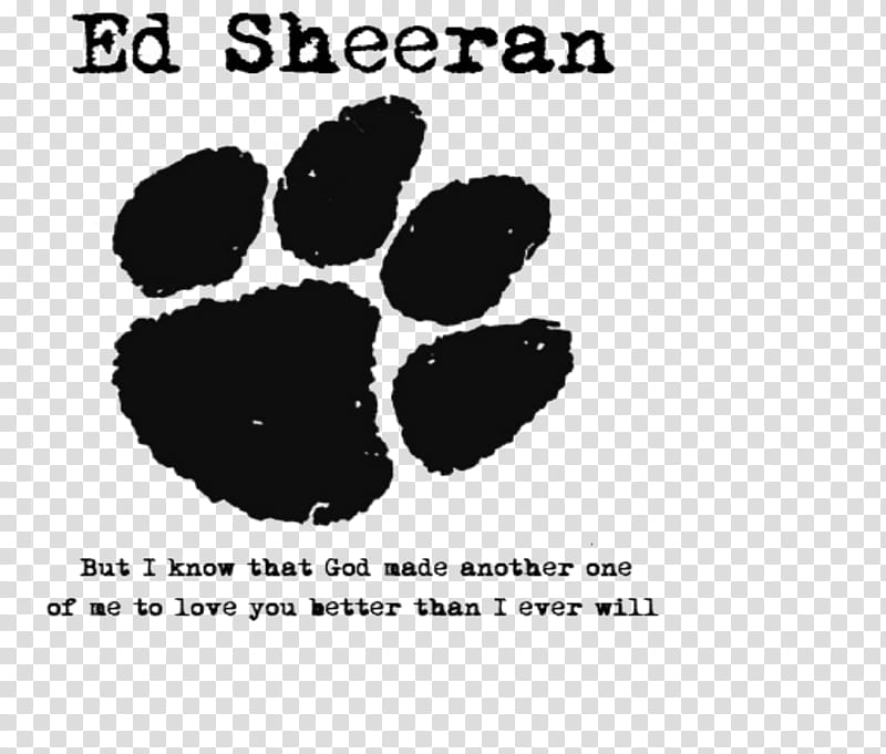 Ed Sheeran Quote transparent background PNG clipart