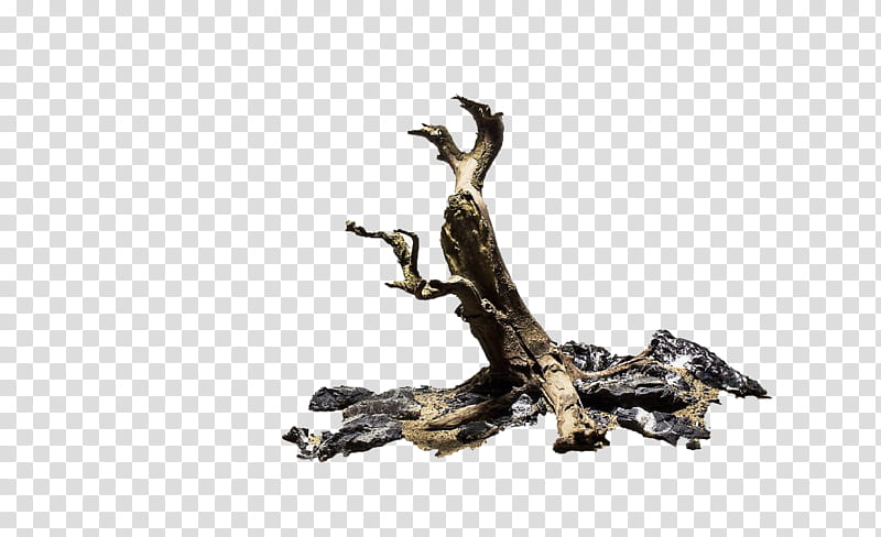 Tree, driftwood ] transparent background PNG clipart