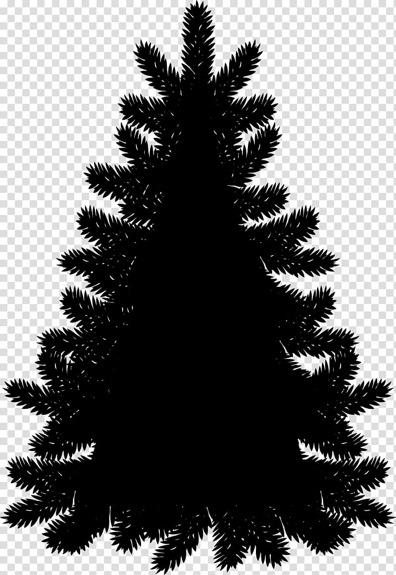 Christmas Black And White, Fraser Fir, Tree, Christmas Tree, Evergreen, Norway Spruce, Mediterranean Cypress, Pine transparent background PNG clipart