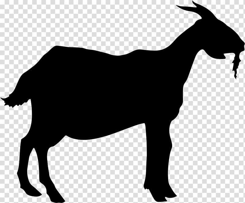 goats goat cow-goat family goat-antelope snout, Cowgoat Family, Goatantelope, Wildlife, Chamois transparent background PNG clipart