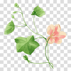 Watercolor Flower, Watercolor Painting, Drawing, Flor Decoracion, Advertising, Leaf, Flora, Plant transparent background PNG clipart thumbnail