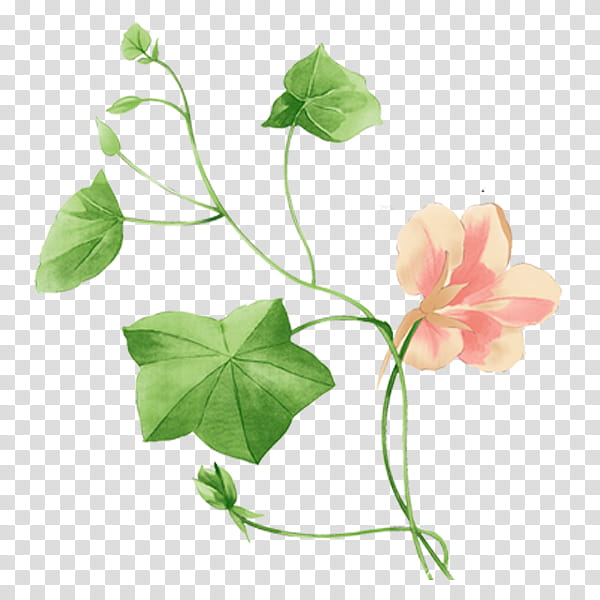 Watercolor Flower, Watercolor Painting, Drawing, Flor Decoracion, Advertising, Leaf, Flora, Plant transparent background PNG clipart Watercolor Flower, Watercolor Painting, Drawing, Flor Decoracion, Advertising, Leaf, Flora, Plant transparent background PNG clipart