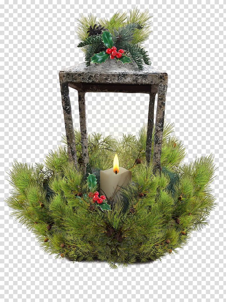 Holiday lantern with greenery cut out, white pillar candle transparent background PNG clipart