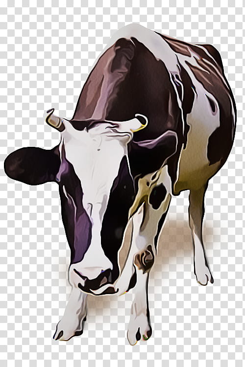 bovine dairy cow live bull cow-goat family, Live, Cowgoat Family, Animal Figure transparent background PNG clipart