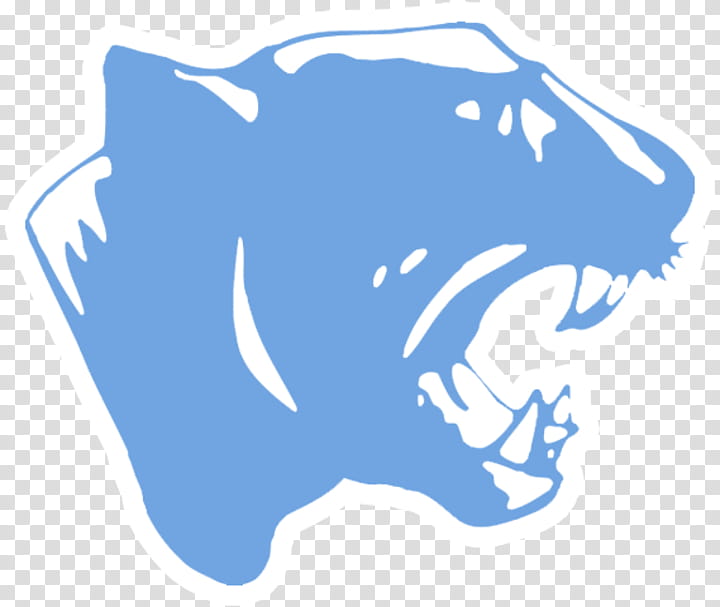 American Football, Carolina Panthers, Superior Senior Panthers, Aransas Pass High School, 2018 Nfl Season, Sports, 2017 Nfl Season, Scorestream Inc transparent background PNG clipart