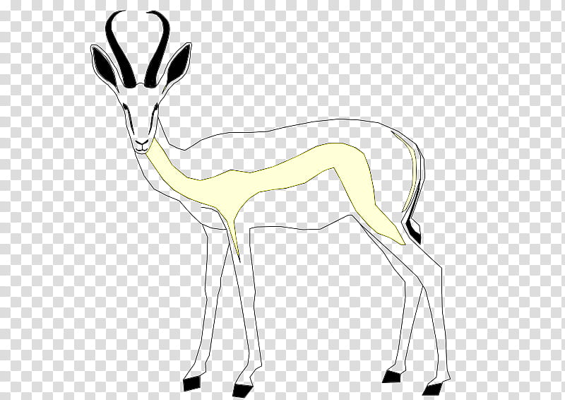 Goat, Springbok, Gazelle, Antelope, Eventoed Ungulates, Deer, Species, Horse transparent background PNG clipart