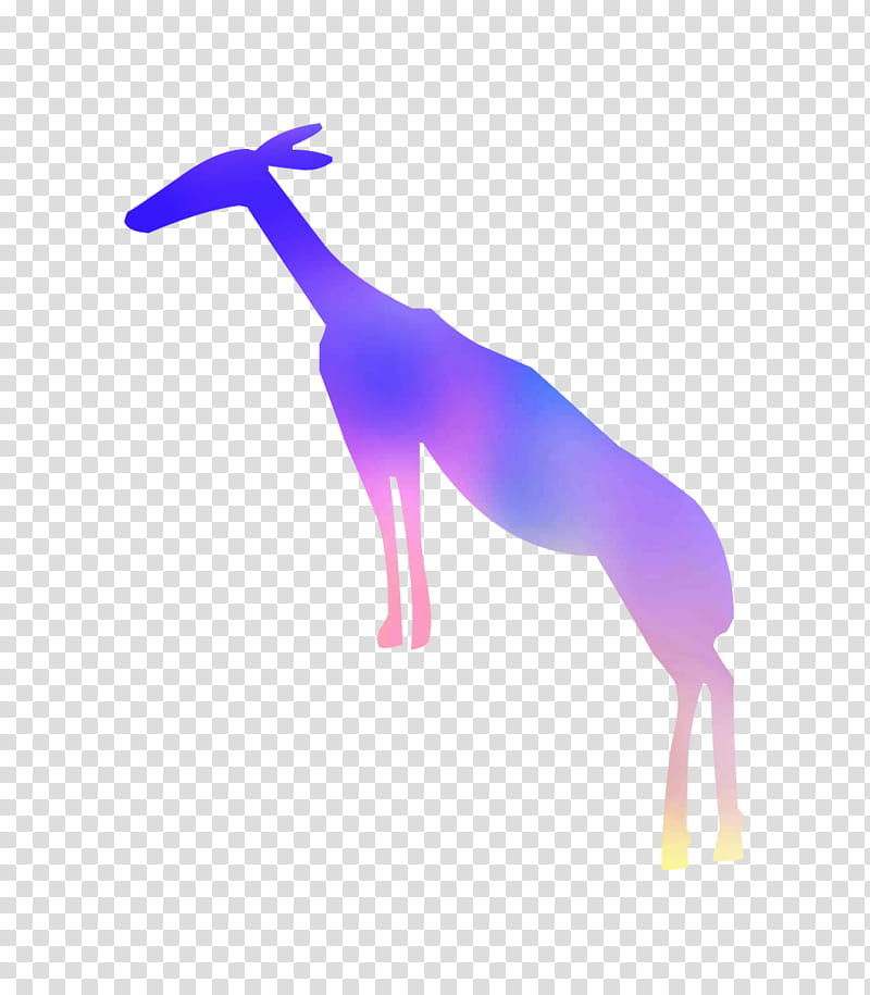Giraffe, Purple, Violet, Deer, Giraffidae, Wildlife, Antelope, Gazelle transparent background PNG clipart