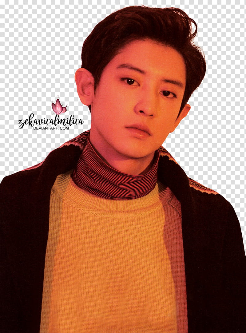 EXO Chanyeol  Season Greetings, man wearing black and gray top transparent background PNG clipart