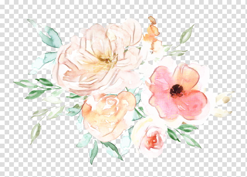 Watercolor Flower, Cabbage Rose, Garden Roses, Floral Design, Still Life, Cut Flowers, Flower Bouquet, Still Life transparent background PNG clipart
