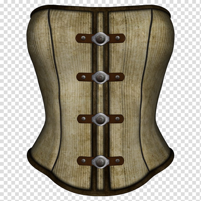 Steampunk Corset , brown leather waist trainer transparent
