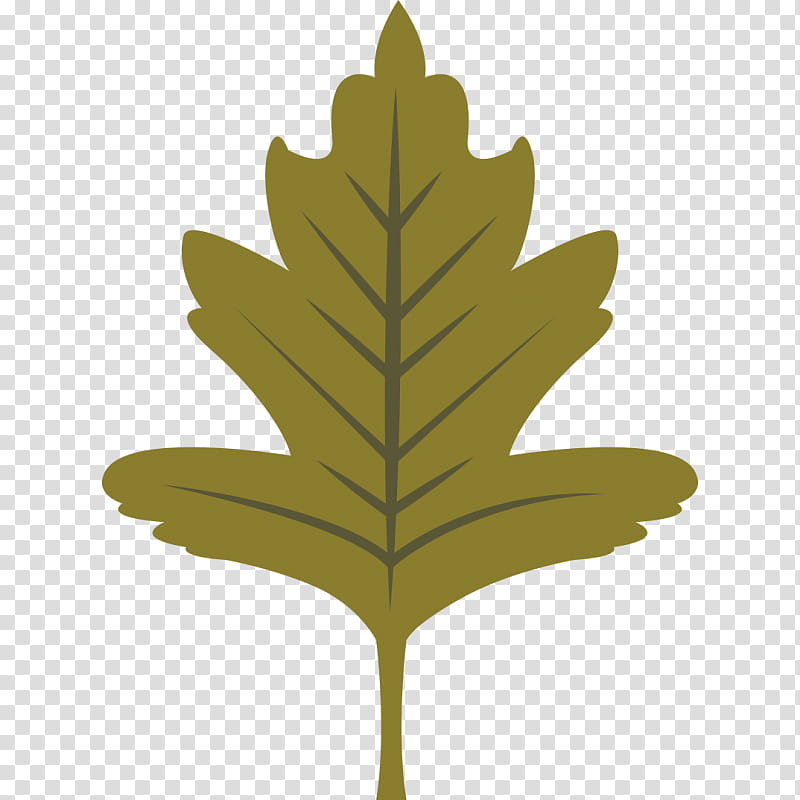 Oak Tree Leaf, Ironon, Maple Leaf, Plants, Tattoo, Canadian Maple Leaf, Woven Fabric, Clothing transparent background PNG clipart