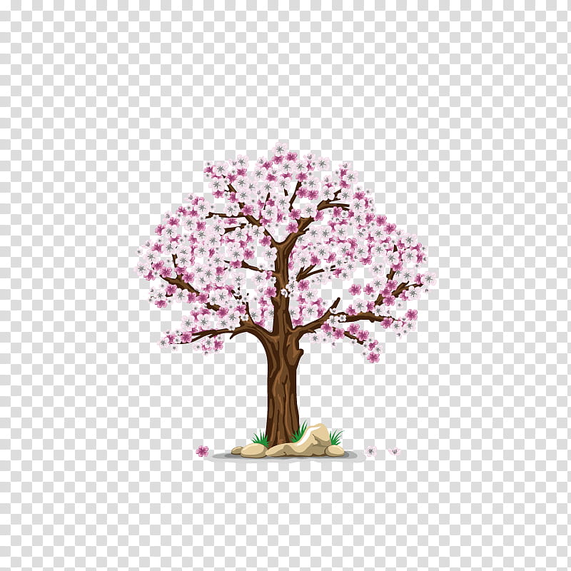 Cherry Blossom Tree, Apples, Cherries, Branch, Fruit Tree, Plant, Woody Plant, Pink transparent background PNG clipart