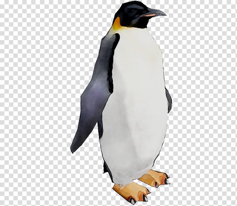 Penguin, King Penguin, Beak, Bird, Flightless Bird, Emperor Penguin, Gentoo Penguin, Snares Penguin transparent background PNG clipart