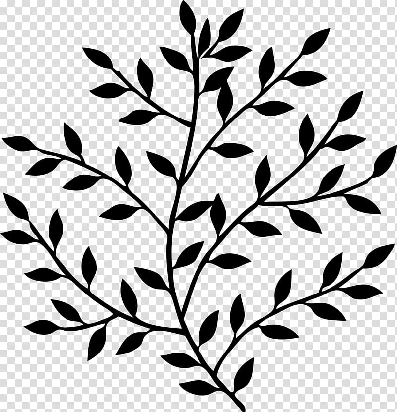 Laurel Leaf, Branch, Bay Laurel, Logo, Tree, Plant, Grass, Twig transparent background PNG clipart