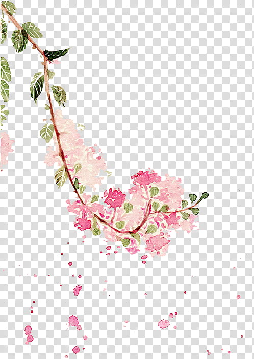Watercolor Flower, Watercolor Painting, Moaning Myrtle, Drawing, Crepemyrtle, Portrait, Shrub, Leaf Painting transparent background PNG clipart