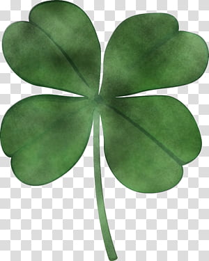 Shamrock, Leaf, Green, Plant, Flower, Clover, Symbol, Petal transparent background PNG clipart thumbnail