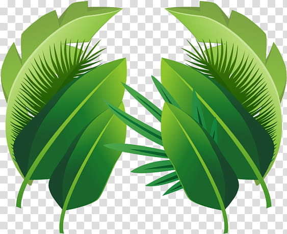 Palm Tree Leaf, Palm Trees, Tropics, Plants, Bamboo, Tropical Rainforest, Painting, Areca Palm transparent background PNG clipart