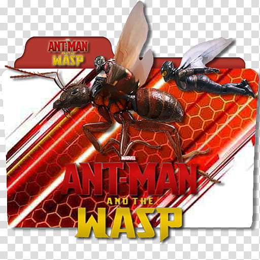 Antman and the Wasp  Folder Icons, Antman and the Wasp (), transparent background PNG clipart